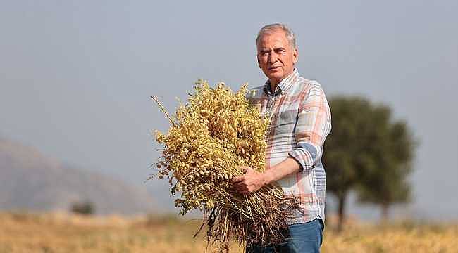 Denizli Büyükşehir'den çiftçilere 70 ton nohut tohumu desteği