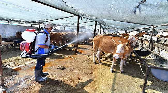 382 Kişilik Ekiple İzmir'de Karasinek ve Haşere Mücadelesi 