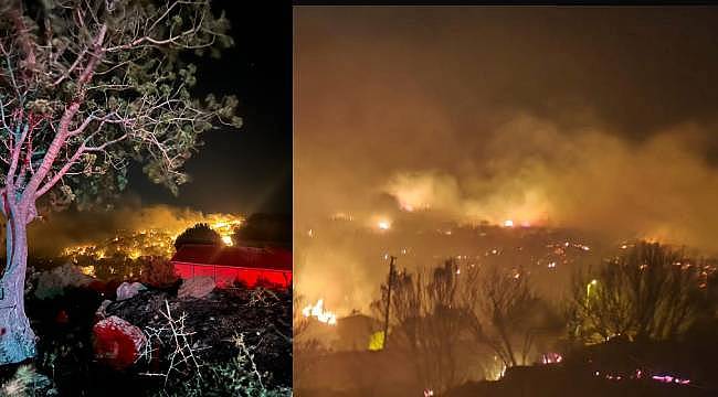 Dikili'de Yangın Kabusu Son Buldu: 200 Dönüm Alan Küle Oldu 