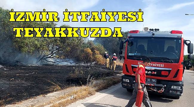 İzmir'de Yangın Seferberliği: İtfaiye, Orman Müdürlüğü ve Belediyeler Birlikte Mücadele Ediyor 