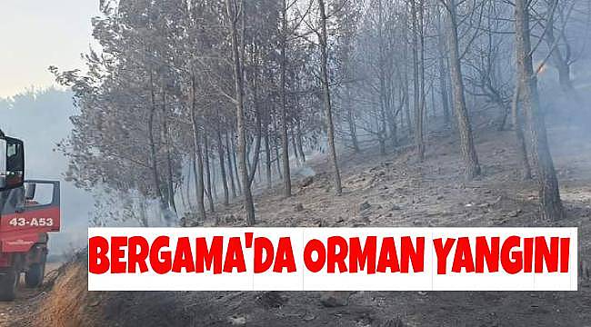 Bergama'da Çıkan Orman Yangını Kontrol Altına Alındı