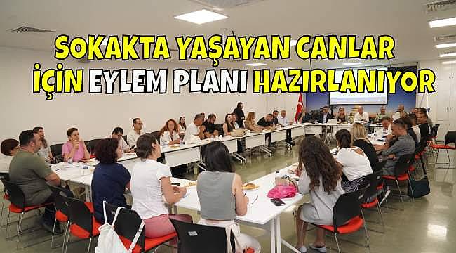 Büyükşehir "Sokak Hayvanlarına Yönelik Eylem Planı" Hazırlıyor