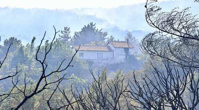 İzmir Bornova'da Orman Yangını: İki Köy Tahliye Edildi, Müdahale Sürüyor