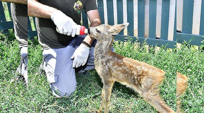 İzmir Doğal Yaşam Parkı'nda Sevindirici Haberler: 61 Yeni Üye Aileye Katıldı 