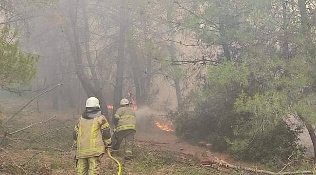 İzmir İtfaiyesi: Alevlere karşı 24 saat kesintisiz mücadele