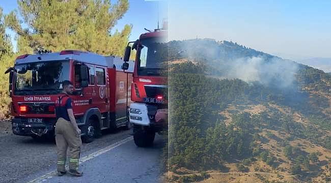 Karabağlar'daki Orman Yangını Söndürüldü, Soğutma Çalışmaları Devam Ediyor