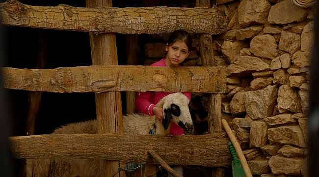 31. Uluslararası Adana Altın Koza Film Festivali'nde Finalistler Belli Oldu 