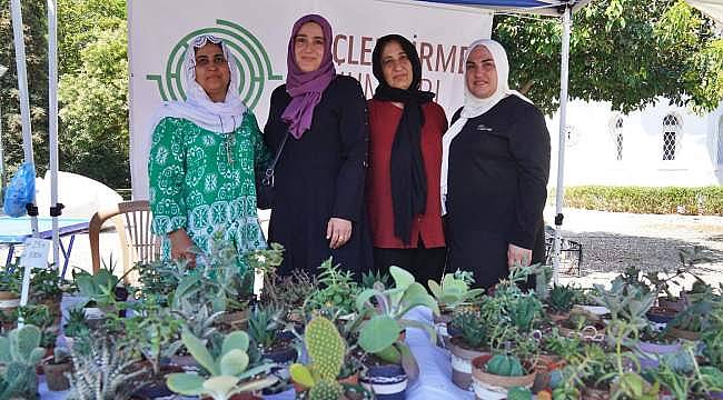 Kadifekale'de Kadınlar Kaktüsle Güçleniyor: Üretimden Satışa Başarı Hikayesi