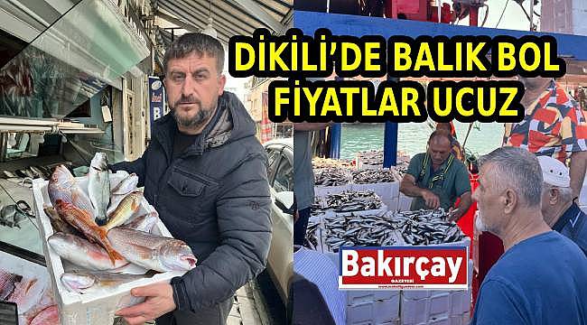 Dikili Balıkçılarından Sezon Değerlendirmesi: Fiyatlar Düştü, Maliyetler Arttı