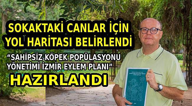 İzmir'de Sokak Hayvanları İçin Yeni Bir Dönem Başlıyor