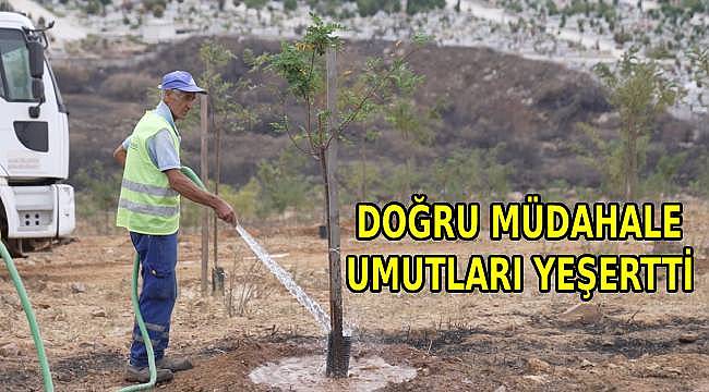 İzmir'in Dağlarında Çiçekler Açtı