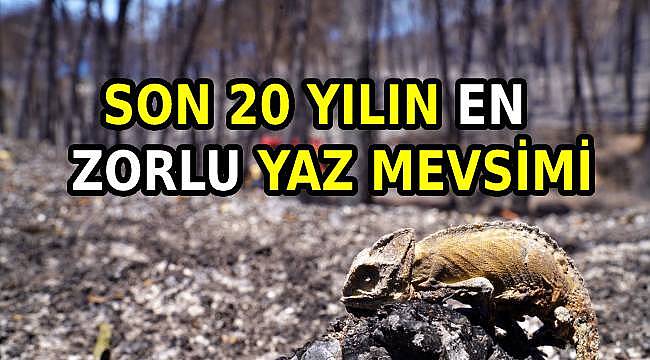 İzmir, Son 20 Yılın En Sıkıntılı Yazını Geride Bıraktı: Kritik Yangın İstatistikleri Açıklandı