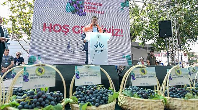 Kavacık Üzüm Festivali'nde Tarım ve Kültür Buluşması: Başkan Tugay'dan Önemli Açıklamalar