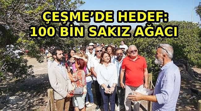 Çeşme Belediyesi'nden Sakız Ağacı Ağaçlandırma Projesi: 5 Yılda 100 Bin Ağaç