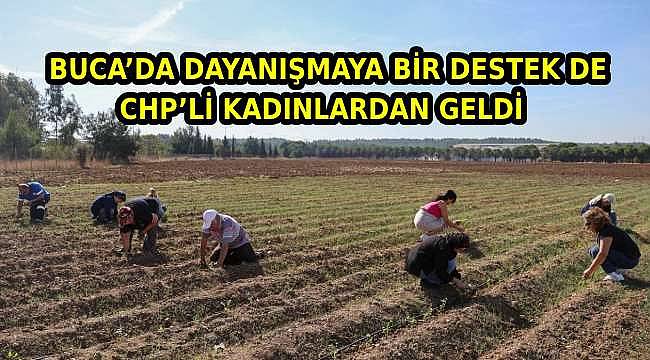 CHP Buca Kadın Kolları'ndan Dayanışma: 8 Bin Fide Toprakla Buluştu