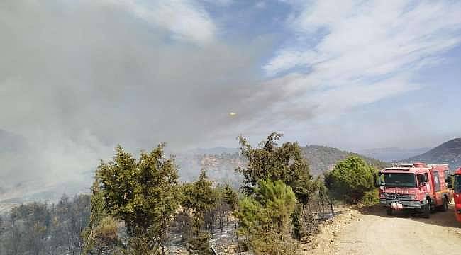 Foça'da Yangın Kontrol Altında: Soğutma Çalışmaları Devam Ediyor