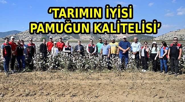 İzmir İl Tarım Müdürlüğü'nden Pamuk Üreticilerine İyi Tarım Desteği