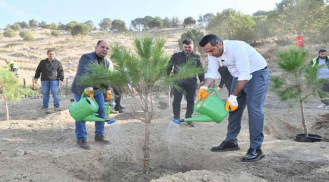 Başkan Yıldız'dan İklim Krizine Karşı Yeşil Adım: "Kaybettiğimiz Ormanları Yeniden Kazanacağız" 