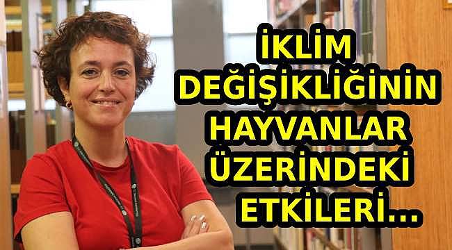 İklim değişikliği hayvanların doğum oranlarını nasıl etkiliyor?