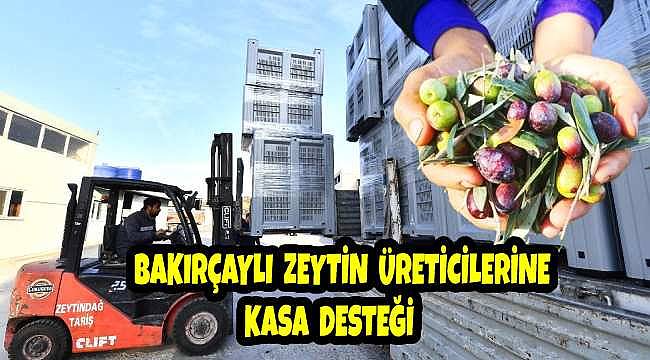 Ziya Çavdar: Bakırçay Zeytininin Kalitesi Üst Seviyeye Çıkacak 