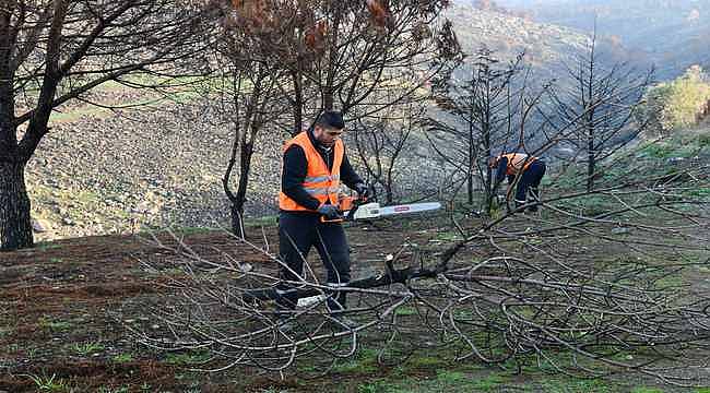 Çiğli Belediyesi Orman Yangınının İzlerini Silmek İçin Seferber Oldu