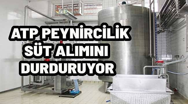 Bakırçaylı Süt Üreticileri Endişeli: ATP Peynircilik, Süt Alımını Durduruyor!