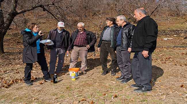 Küçük Menderes'te Kestane Kanseriyle Mücadeleye İzmir Büyükşehir Belediyesi Desteği 